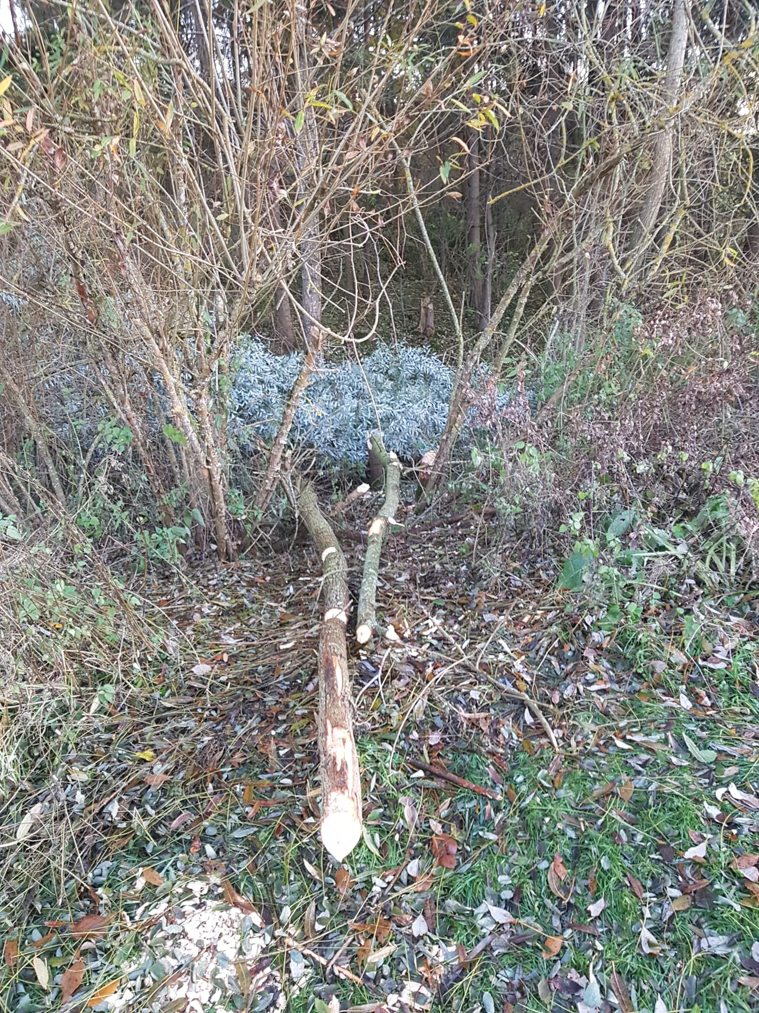 Galeriebild: WhatsApp Image 2022 06 05 at 16.58.32 (1)